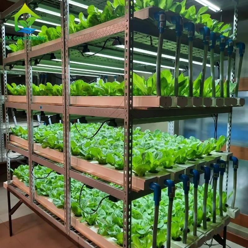 Sistem Penanaman Cerdas Otomatis Kontainer Pertanian Multi-Layer Vertikal NFT Hydroponic Sistem Pertanian Tanpa Tanah