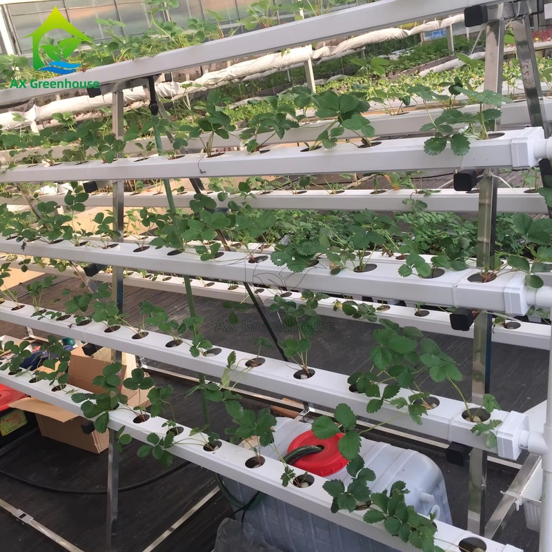 Sistem budidaya tanpa tanah rumah kaca A-frame Teknik Nutrient Film NFT Channel Efisien budidaya sayuran