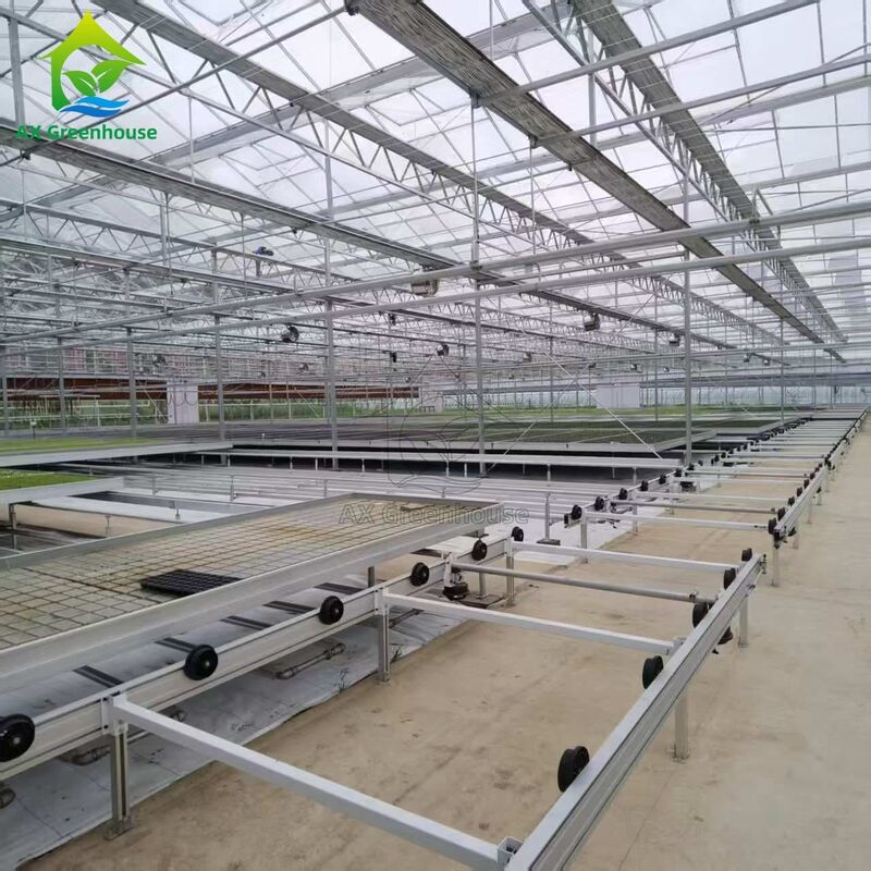 Custom Logistics-based Track-mounted Adjustable Ebb and Flow Table Seedling Bed untuk Budidaya Biji Rumah Kaca