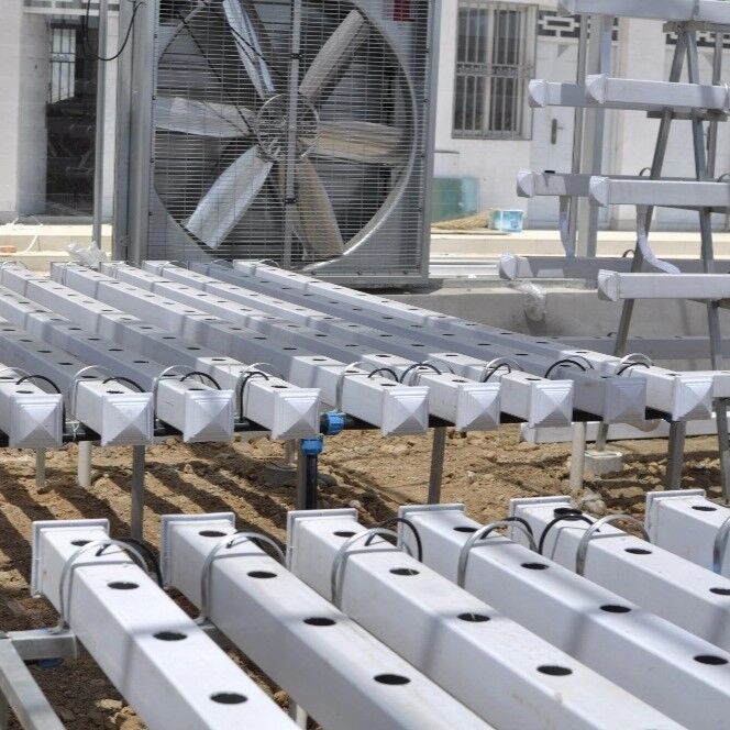 Sistem Selang Hidroponik PVC NFT Berkualitas Pangan dengan Inhibitor UV dan Dimensi yang Dapat Dikustomisasi untuk Rumah Kaca Komersial