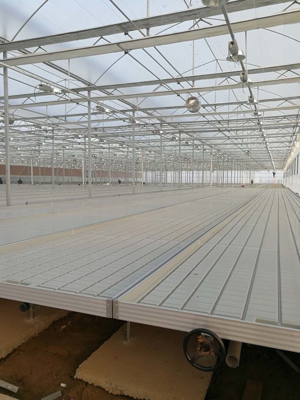 0.71-1.78m Lebar Rumah Kaca Rolling Benches Ebb And Flow Hydroponic Flood Table