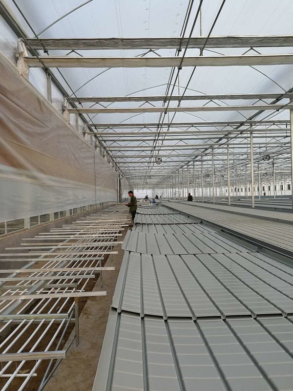 0.71-1.78m Lebar Rumah Kaca Rolling Benches Ebb And Flow Hydroponic Flood Table