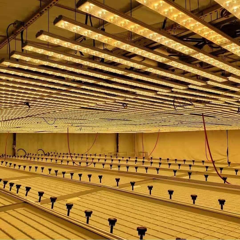 0.71-1.78m Lebar Rumah Kaca Rolling Benches Ebb And Flow Hydroponic Flood Table