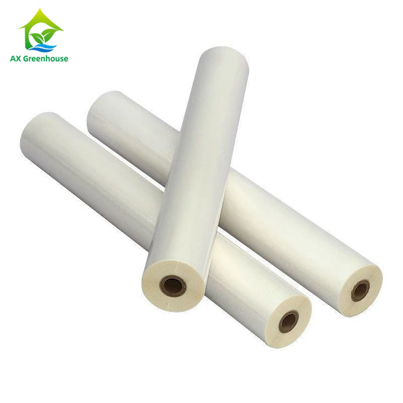 0.1-0.2mm PE PO Greenhouse Plastic Cover High Transmittance Greenhouse Poly Film