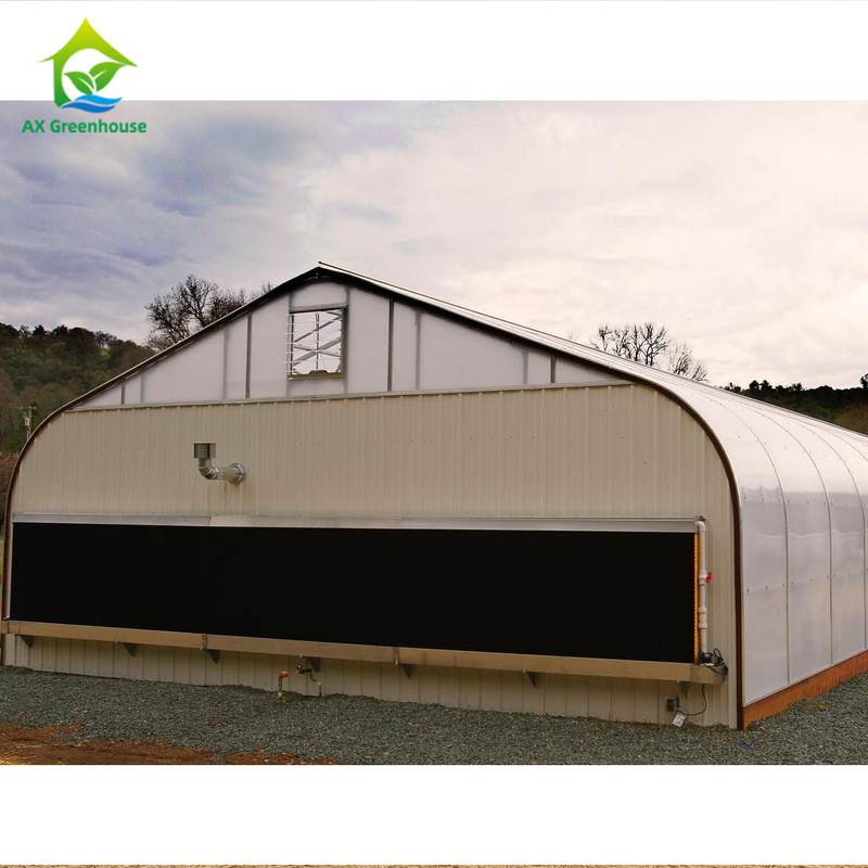 1,8-3m Wall Height Light Dep Grow Tunnel Greenhouse Dengan Sistem Kontrol Iklim