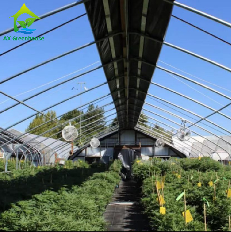 Rumah Kaca Perampasan Cahaya Eksternal OEM 32m-50m Panjang Sistem Pemadaman Rumah Kaca untuk menanam Mariguana