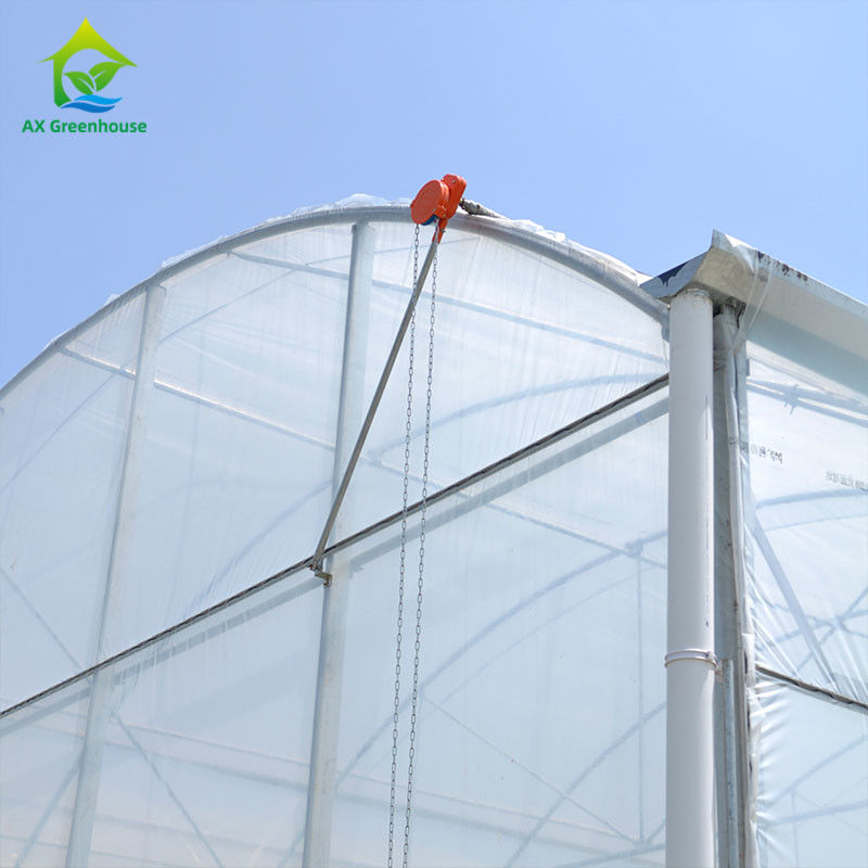 OEM Chain Type Manual Top Film Roller Untuk Sistem Ventilasi