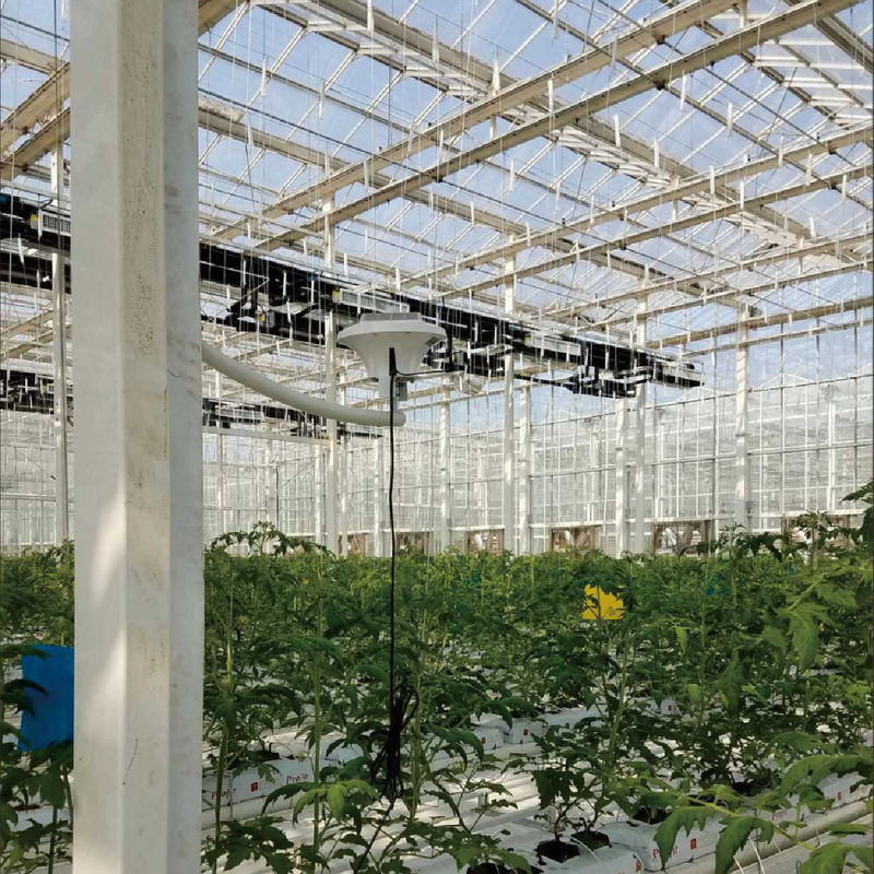 Sistem pemantauan rumah kaca cerdas dengan daya AC220V dan 0 ~ 50000 PPM CO2 konsentrasi meter untuk kontrol iklim yang optimal