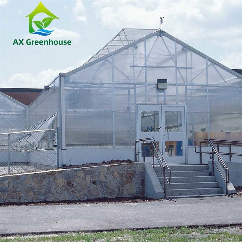 Tanaman Budidaya Single Span Polycarbonate PC Sheet Greenhouse dengan struktur yang stabil dan pemasangan mudah