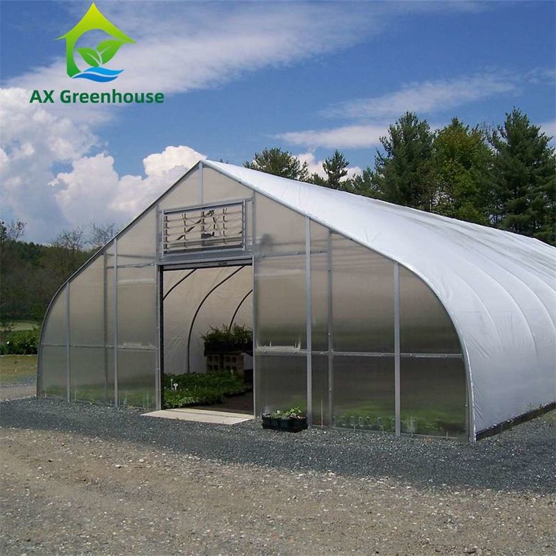 Rentang Tunggal Lapisan Ganda 8mm Lembar PC Rumah Kaca Venlo 0.5KN/M2 Beban Angin