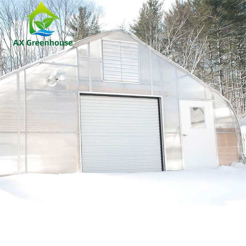 Mudah dirakit transparan PC Sheet rumah kaca dengan ukuran yang dapat disesuaikan dan Hot Galvanized Steel Frame