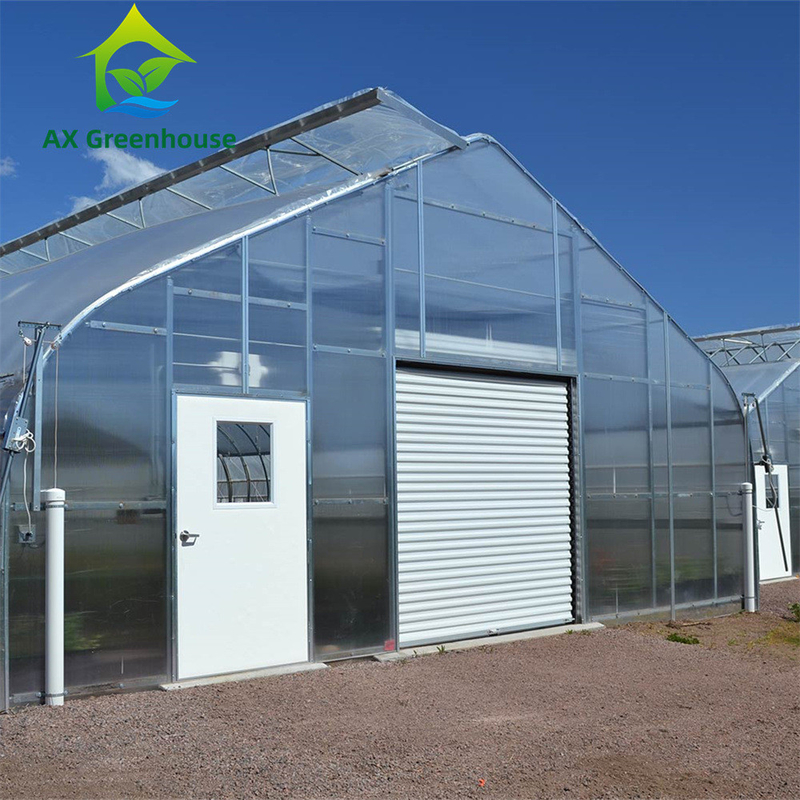 Rumah kaca polycarbonate multiwall serbaguna ideal untuk sayuran bibit bunga pertanian halaman belakang