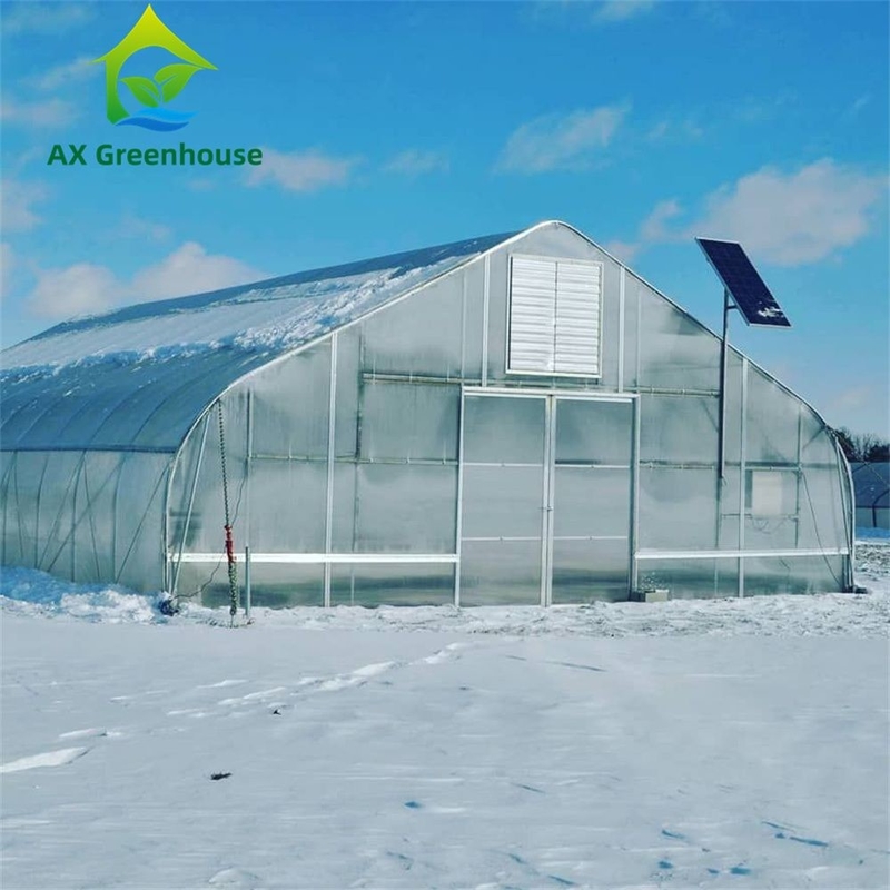 Rumah kaca polycarbonate multiwall serbaguna ideal untuk sayuran bibit bunga pertanian halaman belakang