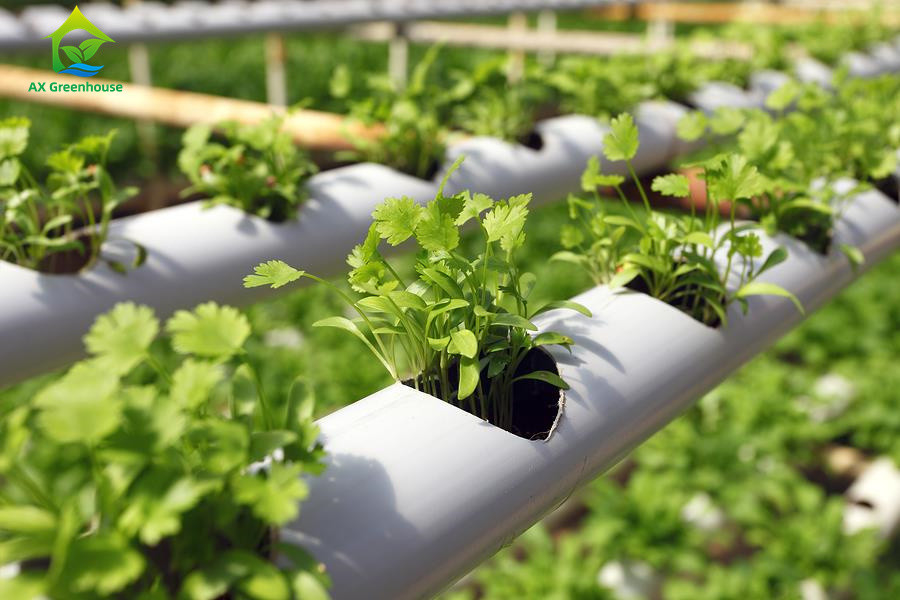 Tanah Tanpa Pertanian Indoor Strawberry Tumbuh PVC Tabung Untuk Hydroponics Sistem NFT Untuk Dijual