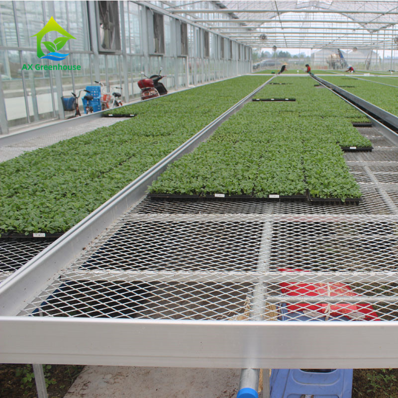 Pertanian Komersial Indoor Mesh Wire Greenhouse Grow Table Rolling Bench Untuk Benih