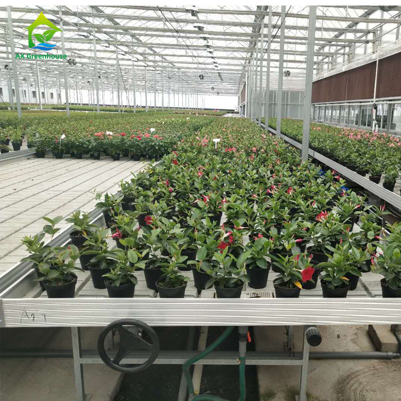 Pertanian Ukuran Custom Greenhouse Tumbuh Meja Hydroponic Ebb Flood Rolling Bench