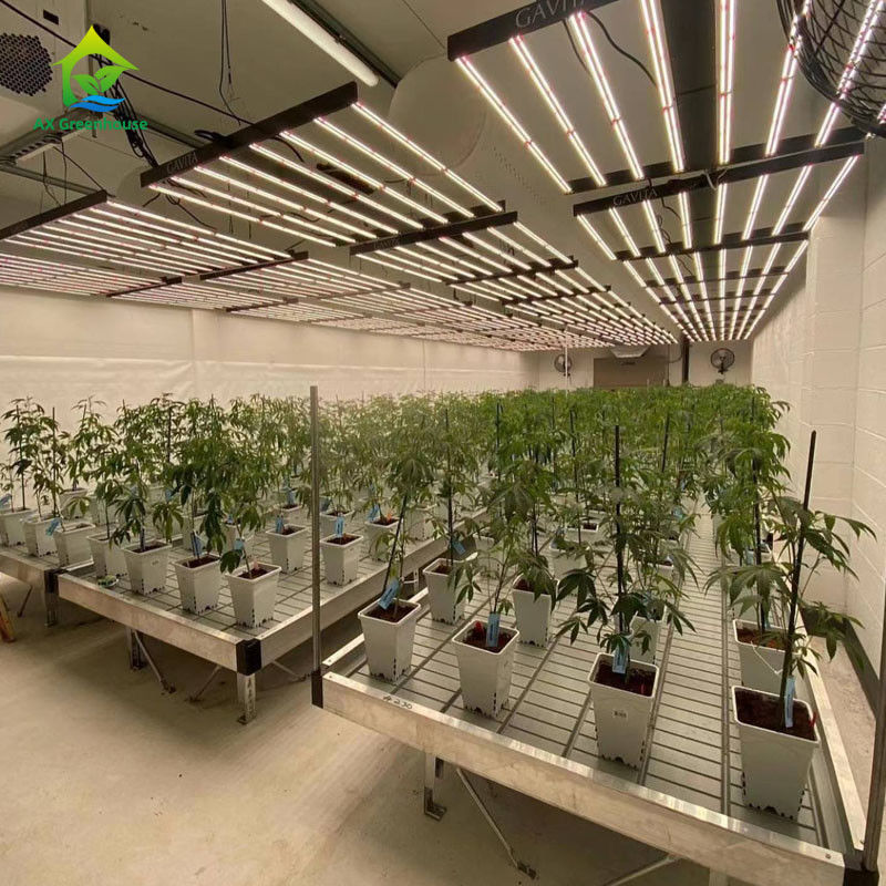 Bangku Rolling Rumah Kaca Ramah Lingkungan yang Stabil dengan Lembar Plastik ABS dan Bingkai Alloy Aluminium dalam Ukuran yang Dapat Dikustomisasi