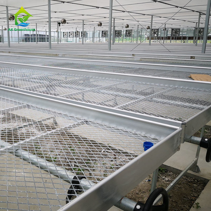 Pertanian Komersial Indoor Mesh Wire Greenhouse Grow Table Rolling Bench Untuk Benih