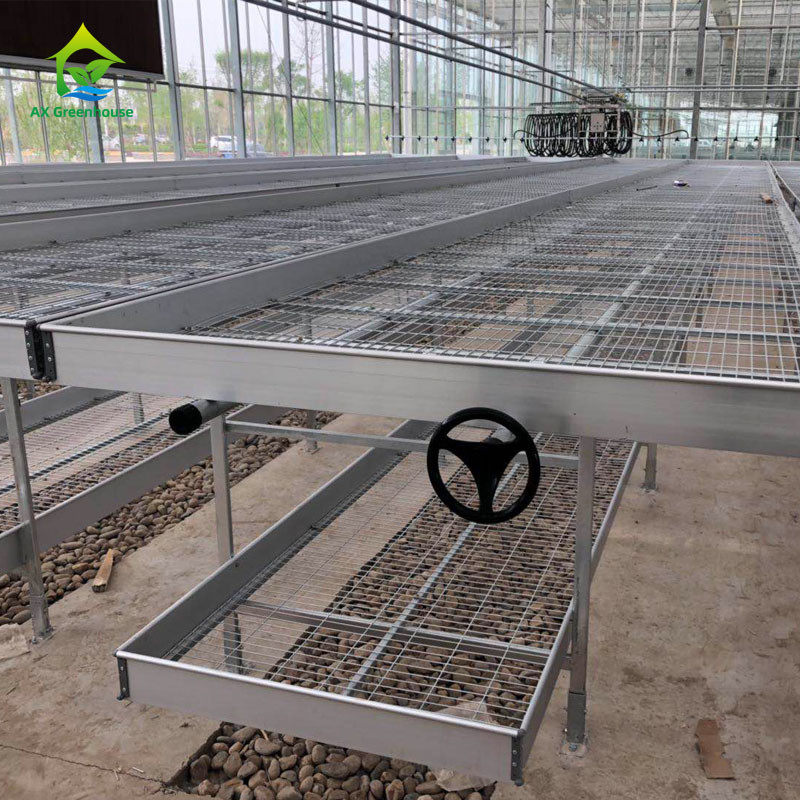 Pertanian Komersial Indoor Mesh Wire Greenhouse Grow Table Rolling Bench Untuk Benih